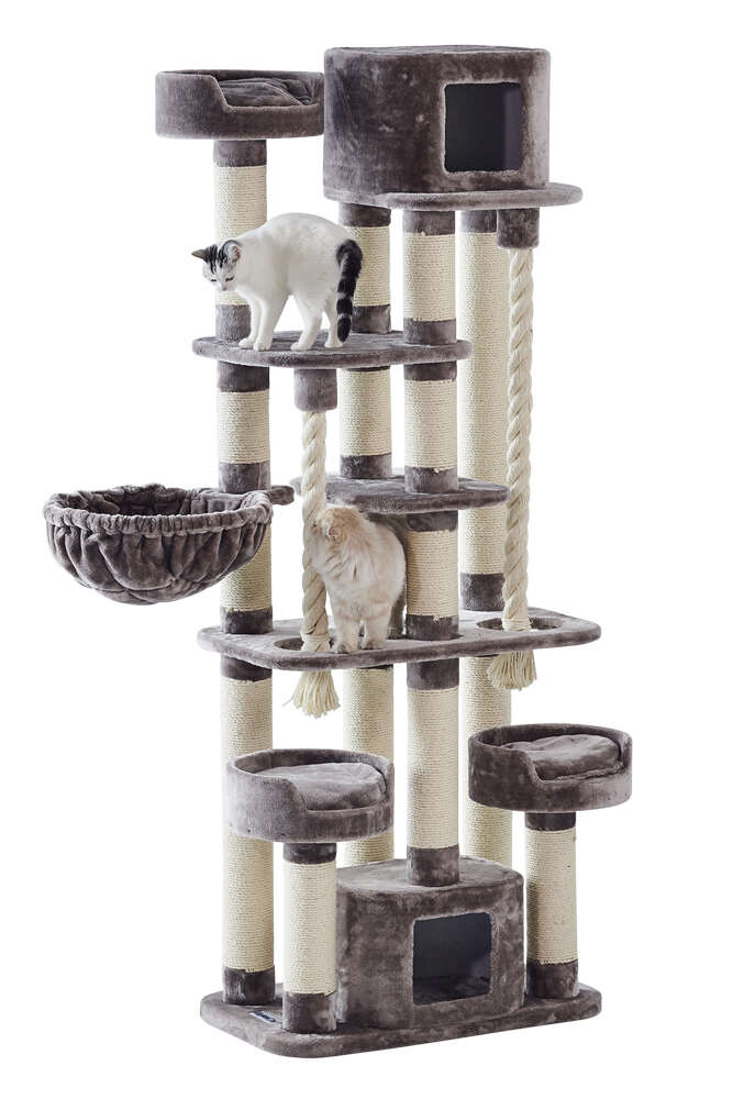 Nobby Kratzbaum Kyla